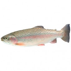 Форель живая в магазинах Перекресток