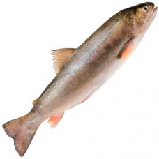 Голец непотрошеный охлаждённый в магазинах Перекресток