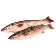 Кефаль непотрошёная охлаждённая в магазинах Перекресток