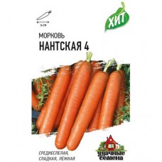 Морковь Нантская 4 Удачные Семена, 2г в магазинах Перекресток