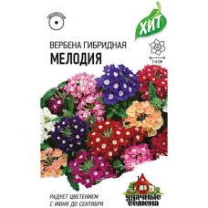 Семена Удачные семена Вербена Мелодия, 50мг в магазинах Перекресток