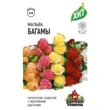 Семена Удачные семена Мальва Багамы смесь, 100мг в магазинах Перекресток