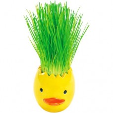 Набор Домашняя кухня Пшеничка из яичка пасхальная в магазинах Перекресток