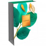 Пакет Арт и Дизайн BC премиум в ассортименте, 17.8х23см