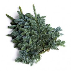 Букет из пихты нобилис в магазинах Перекресток