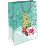 Пакет подарочный Арт и Дизайн AA в ассортименте