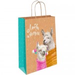 Пакет подарочный Арт и Дизайн ВС в ассортименте, 20х24х10.2см Пакет подарочный Арт и Дизайн ВС в ассортименте, 20х24х10.2см