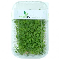 Микрозелень Greendl Руккола, 15г в магазинах Перекресток
