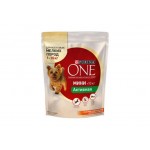 Корм д/с сух Purina ONE 600r д/мелк пор кур-рисх8