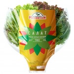 Салат Трио Красно-Зеленый Листовой Салат Трио Красно-Зеленый Листовой